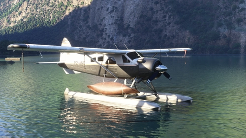 Bush Divers | De Havilland DHC-2 Beaver