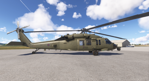 MH60s - Royal Air Force (What-if)