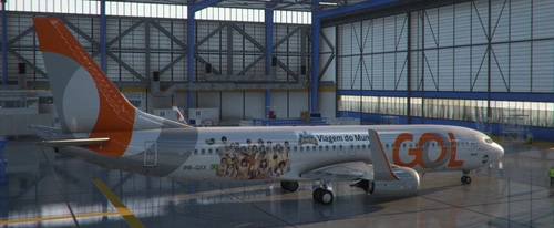 PMDG Boeing 737-800 Gol Linhas Aéreas PR-GXX (A Caverna Encantada Sticker)