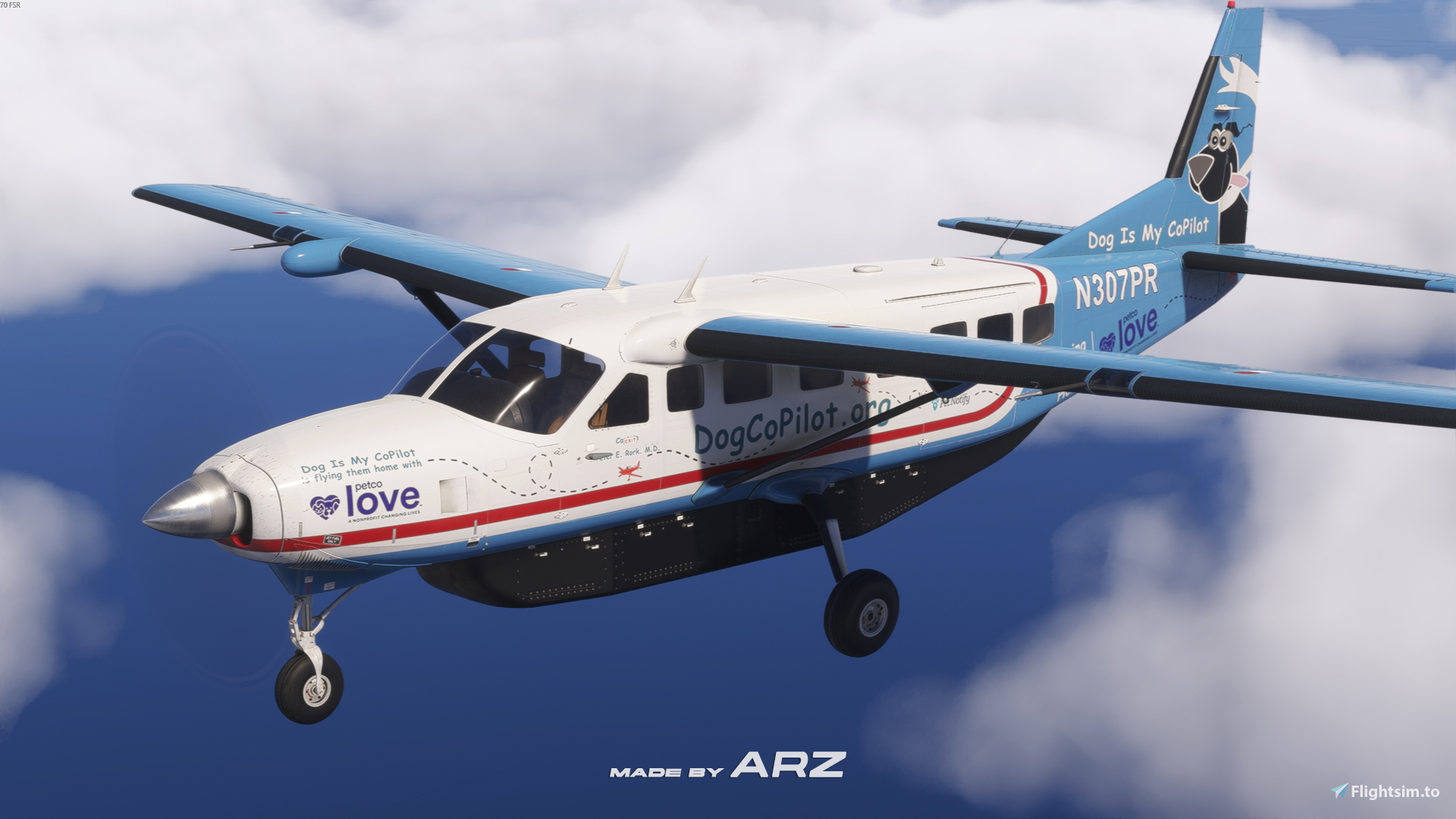 Dog Is My CoPilot - N307PR (Requested) | BKSQ Caravan Pro Dog Is My CoPilot - N307PR (Requested) | BKSQ Caravan Pro