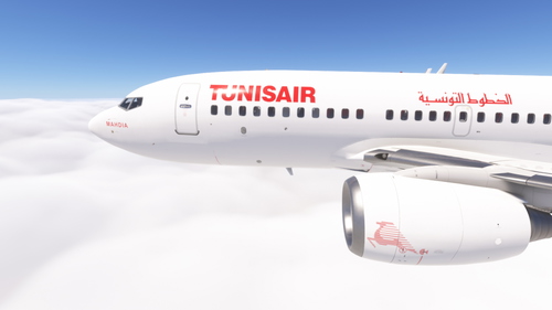 PMDG 737-700 w/ cabin Tunisair  (TS-IOI)