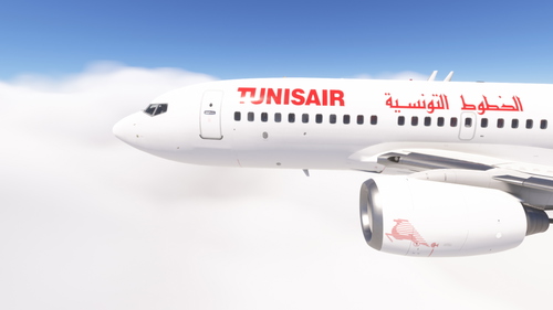 PMDG 737-700 w/ cabin Tunisair (TS-IEB)