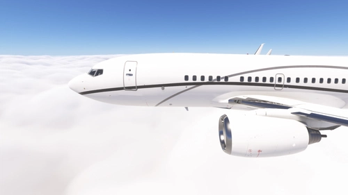 PMDG 737-700BBJ Banesco USA (N203JE)