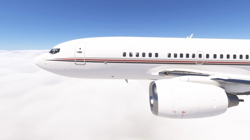 PMDG 737-700BBJ Netjets fleet