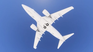 PMDG 737-700BBJ Netjets fleet thumbnail 4