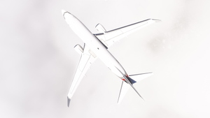 PMDG 737-700BBJ Netjets fleet thumbnail 3