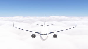 PMDG 737-700BBJ Netjets fleet thumbnail 5