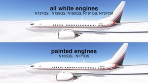 PMDG 737-700BBJ Netjets fleet thumbnail 7