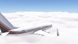 PMDG 737-700BBJ Netjets fleet thumbnail 6