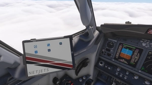 PMDG 737-700BBJ Netjets fleet thumbnail 8