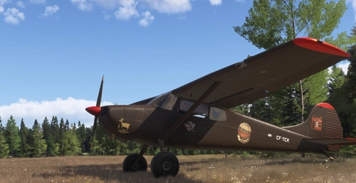 Cessna Carenado C170B Brown CF-TCK