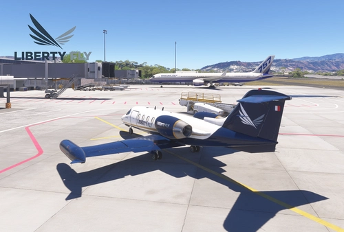 Flysimware Learjet 35A - Liberty Fly Livery
