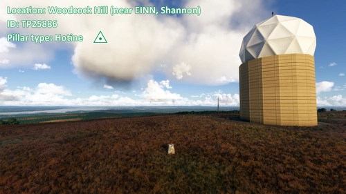 Triangulation Pillars of Ireland