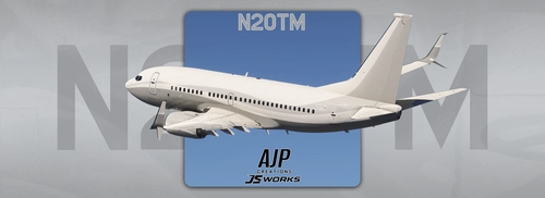 Business Jet - N20TM - Boeing 737-700 BBJ