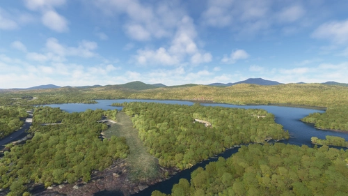 ADK Bush Strips: Harris Lake Landing Area