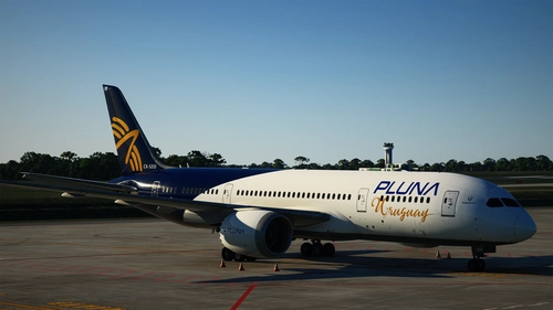 Bravoairspace 787-8 — PLUNA livery