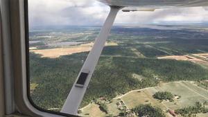 Sweden Forests thumbnail 4