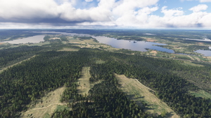 Sweden Forests thumbnail 5