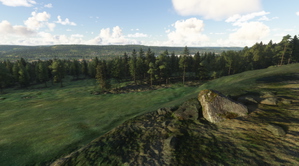 Sweden Forests thumbnail 6