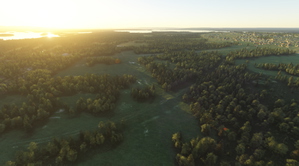 Sweden Forests thumbnail 13