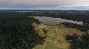 Sweden Forests thumbnail 14