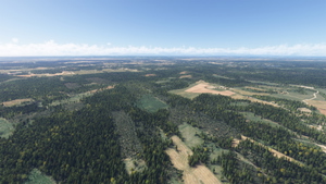 Sweden Forests thumbnail 17