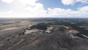 Sweden Forests thumbnail 19