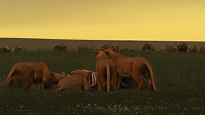 Maasai Mara Safari Pack thumbnail 6