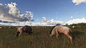 Maasai Mara Safari Pack thumbnail 7