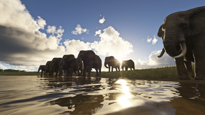 Maasai Mara Safari Pack thumbnail 8