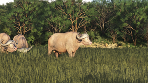 Maasai Mara Safari Pack thumbnail 9