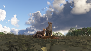 Maasai Mara Safari Pack thumbnail 11