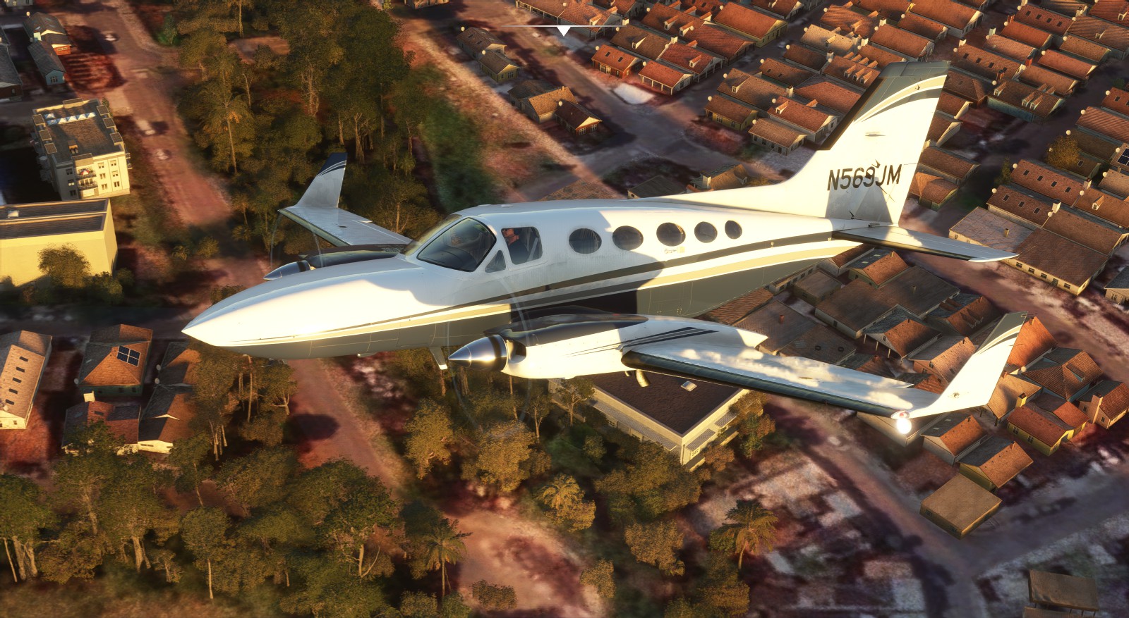 Flysimware Cessna 414A Chancellor N569JM - Aircraft Liveries for