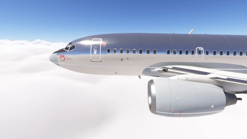 PMDG 737-600 w/ cabin Southwest - Silver One (N629SW)