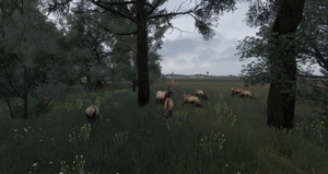 Better EDDV Immersion (SoFly Airport is needed) thumbnail 6