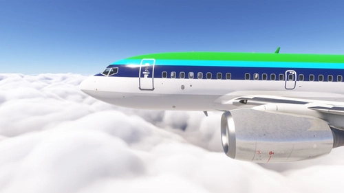 PMDG 737-600 w/ cabin Aer Lingus - Southwest Hybrid (EI-ASH)
