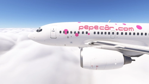PMDG 737-600 w/ cabin Air Europa - pepecar.com (EC-INT)