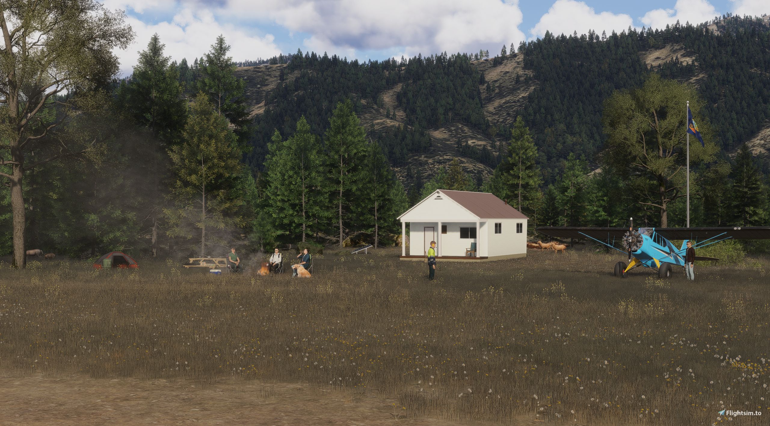 U45 Graham USFS, Idaho - Image 1