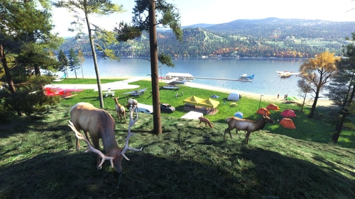 D28 – Tanglefoot Seaplane Base, Idaho (for MSFS 2024)