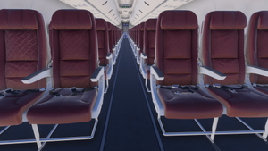 PMDG 737-600 w/ cabin Utair (RA-73044) thumbnail 10
