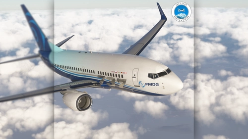 PMDG 737 Unofficial Cabin Paintkit