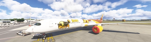 A350-1000 Louis76630