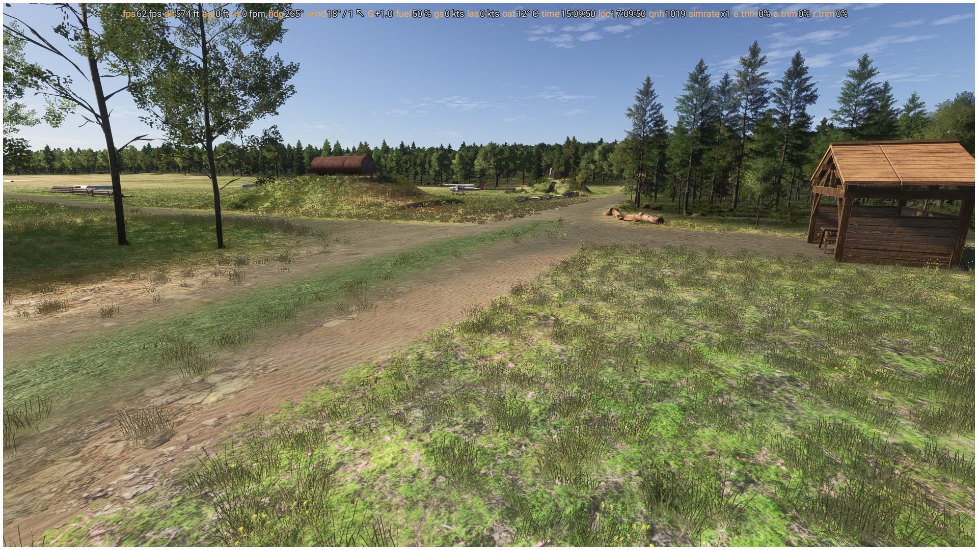 Forest Airstrip - Kuznia Raciborska - Image 1