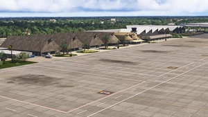 MDPC - Punta Cana International 24 thumbnail 13