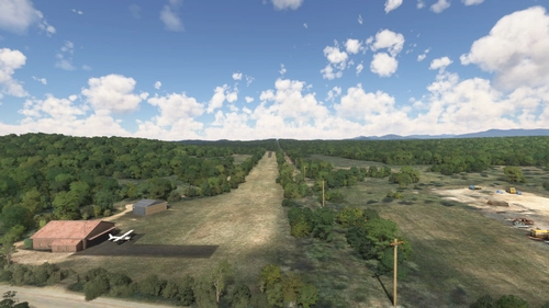ADK Bush Strips: OWD Tupper Lake