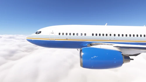 PMDG 737-600 Las Vegas Sands Corporation (N108MS)