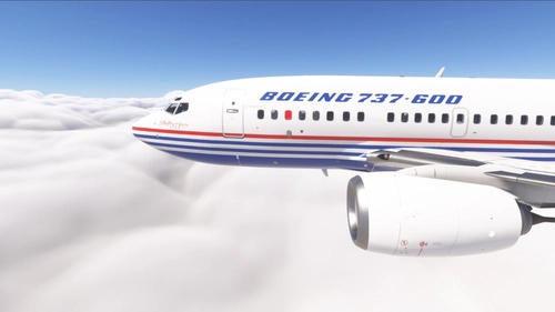 PMDG 737-600 Boeing House (N7376)
