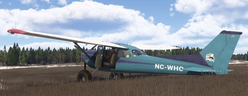 C172 Bushkit Taildragger bdazzled blue NC-WHO