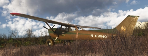 C172 Bushkit Taildragger green-brown