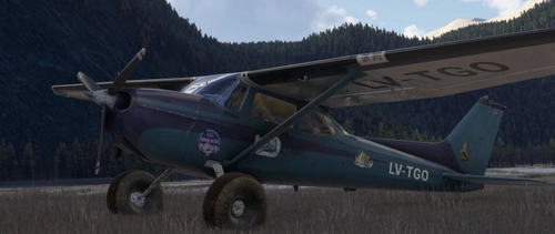 Cessna 172 Classic Taildragger LV-TGO Fuego v2